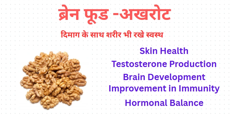 खरोट का कटोरे में रखा हुआ स्वास्थ्यवर्धक नट्स, जो दिमाग़ की सेहत और हृदय के लिए लाभकारी हैं