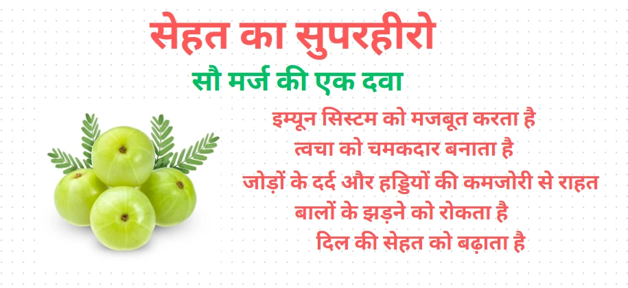 ताज़े हरे आंवले एक कटोरी में रखे हुए, जो विटामिन C से भरपूर और इम्यूनिटी बढ़ाने वाले फल हैं