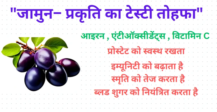 "जामुन खाने के स्वास्थ्य लाभ – शुगर कंट्रोल, पाचन में सुधार और रोग प्रतिरोधक क्षमता बढ़ाना"